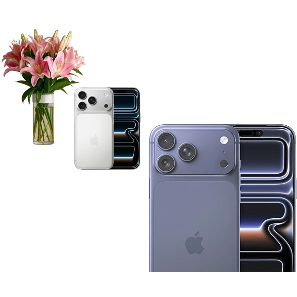 Apple Bundle 5611 view 1