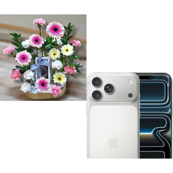 iPhone Bundle 4771 view 1