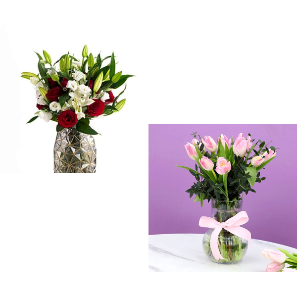 Organic Bundle 1051 view 1