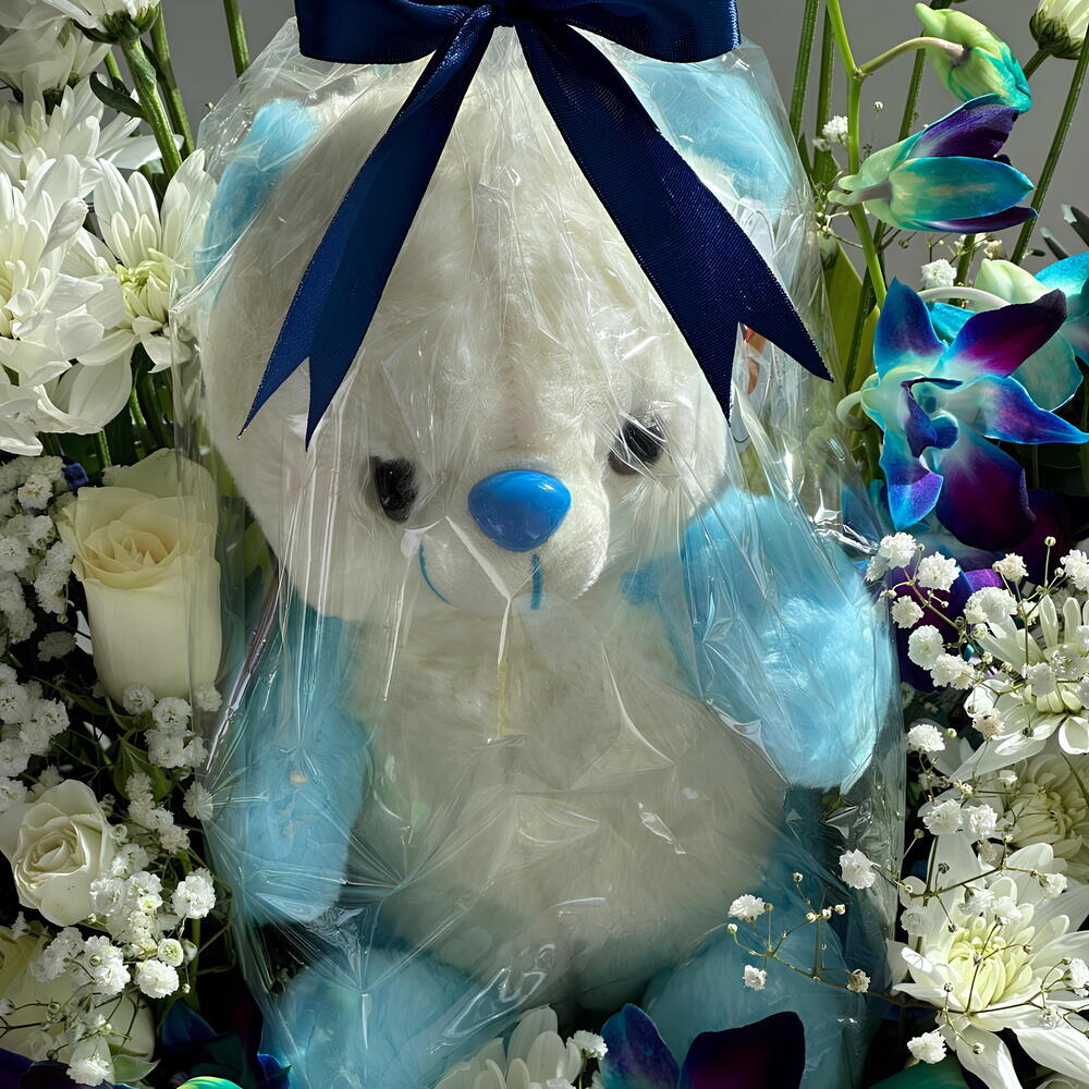 Baby Boy Wonder Bundle view 6
