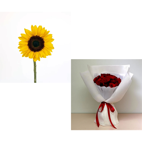 sun Bundle 9690 view 1