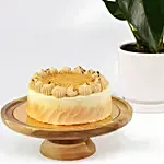 Butterscotch Cake and Plants view 6