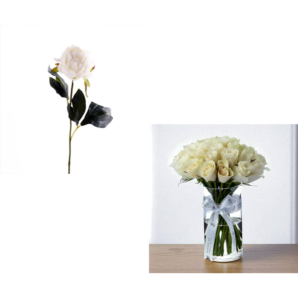 peony Bundle 6956 view 1