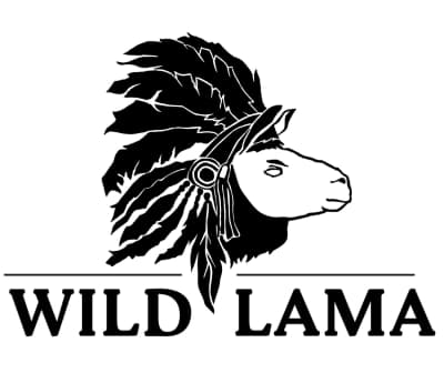 Wild Lama