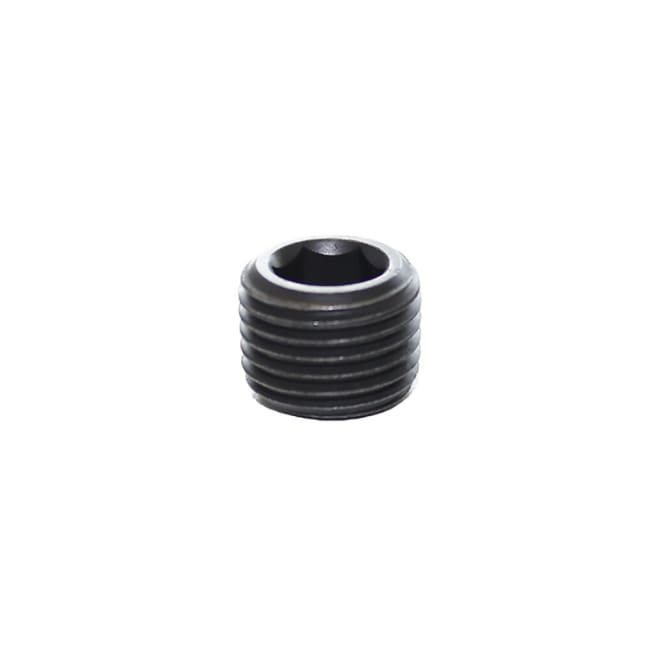 LEGRIS Blanking Plug 1/4 NPT Hex Head Steel
