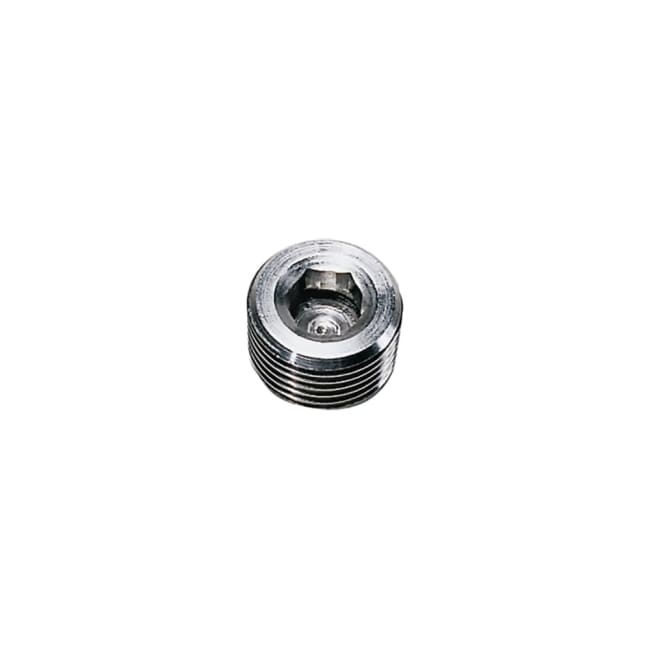 LEGRIS Internax Hex Head Plug 1/2` NPT SS316L