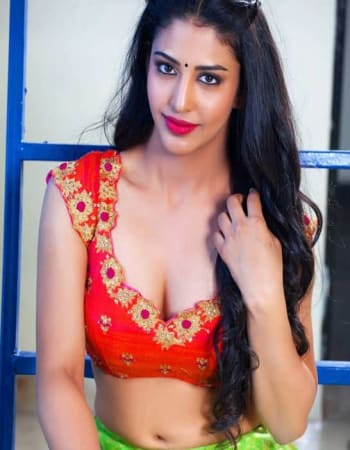 Vip Escorts In Mumbai