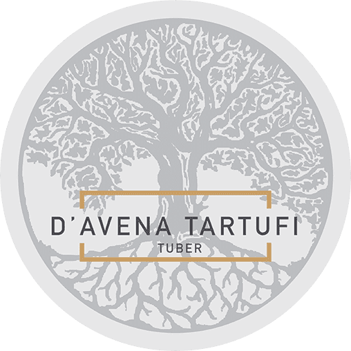 logo icon