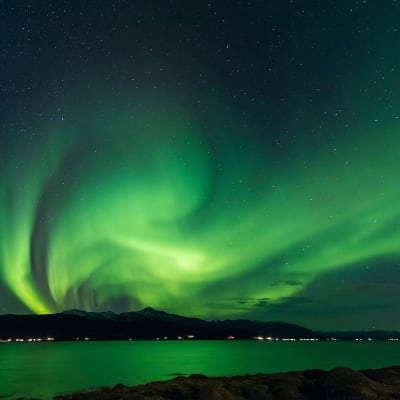 Svalbard - en af verdens sidste vildmarker