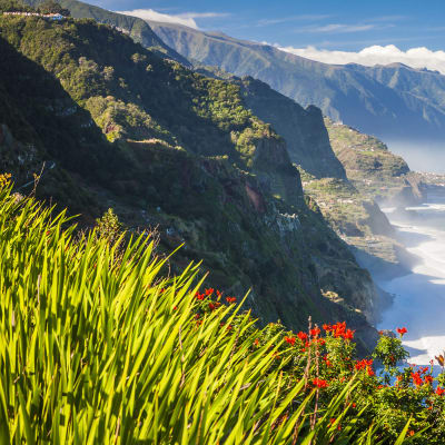 Madeira - Paradisets have