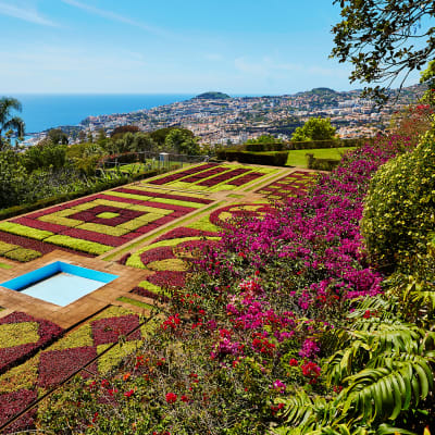 Farverige Madeira 