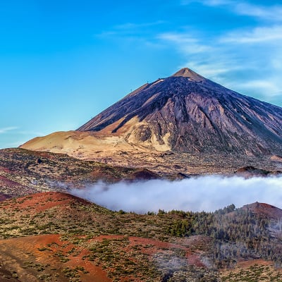 Nytr p Tenerife