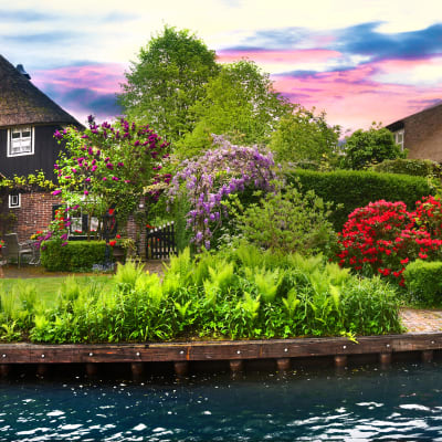 Holland i blomst - Raalte