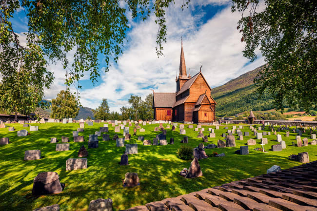 Isbrer og fjordlandskaber