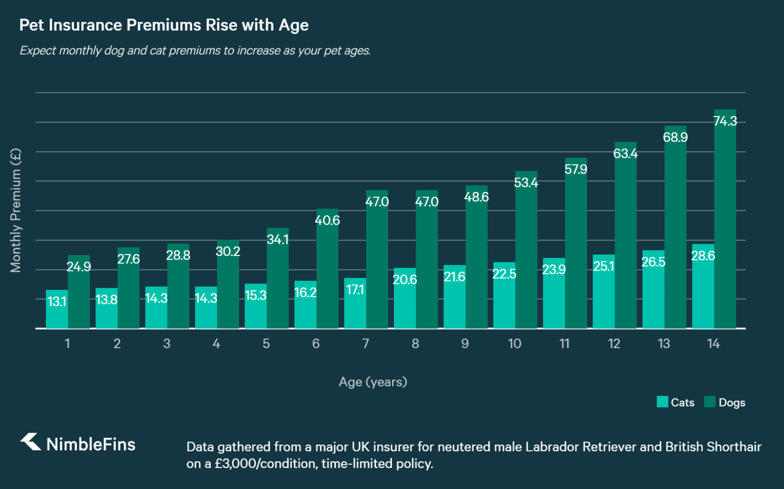 What You Need to Know Buying Pet Insurance for Older Pets NimbleFins