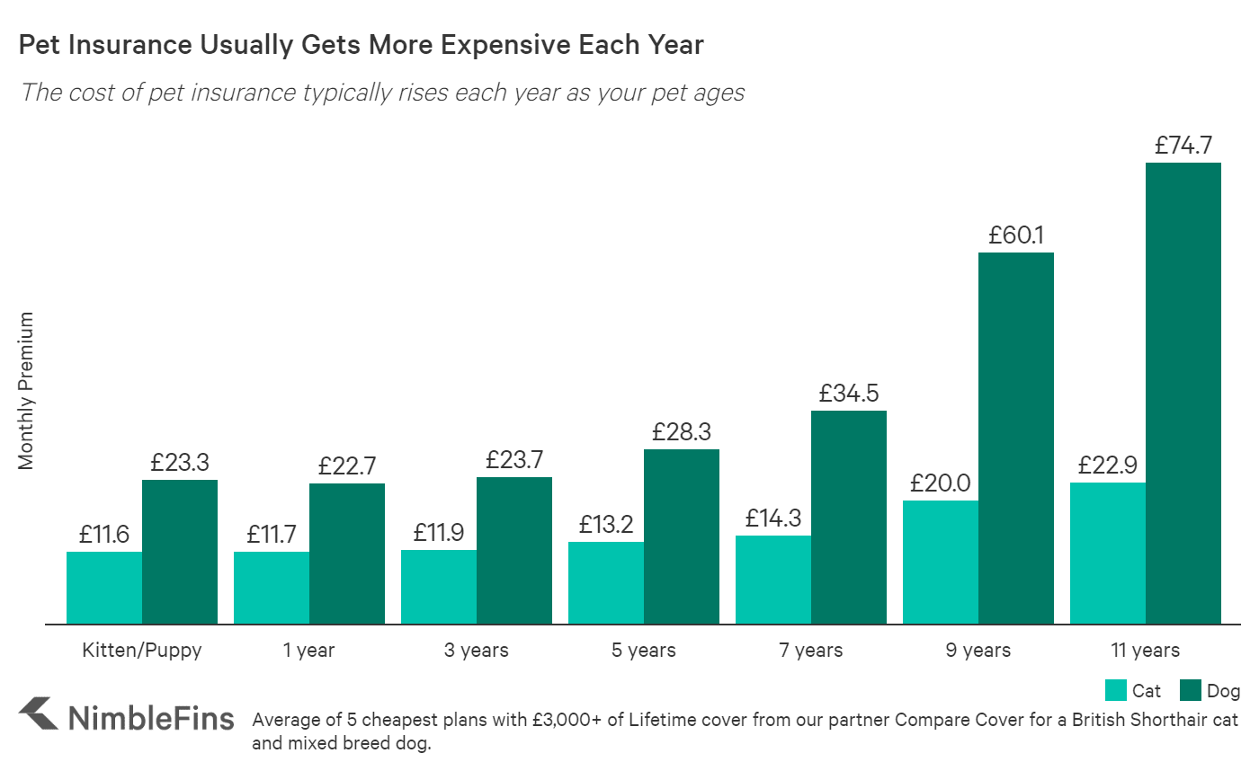 pet insurance cost