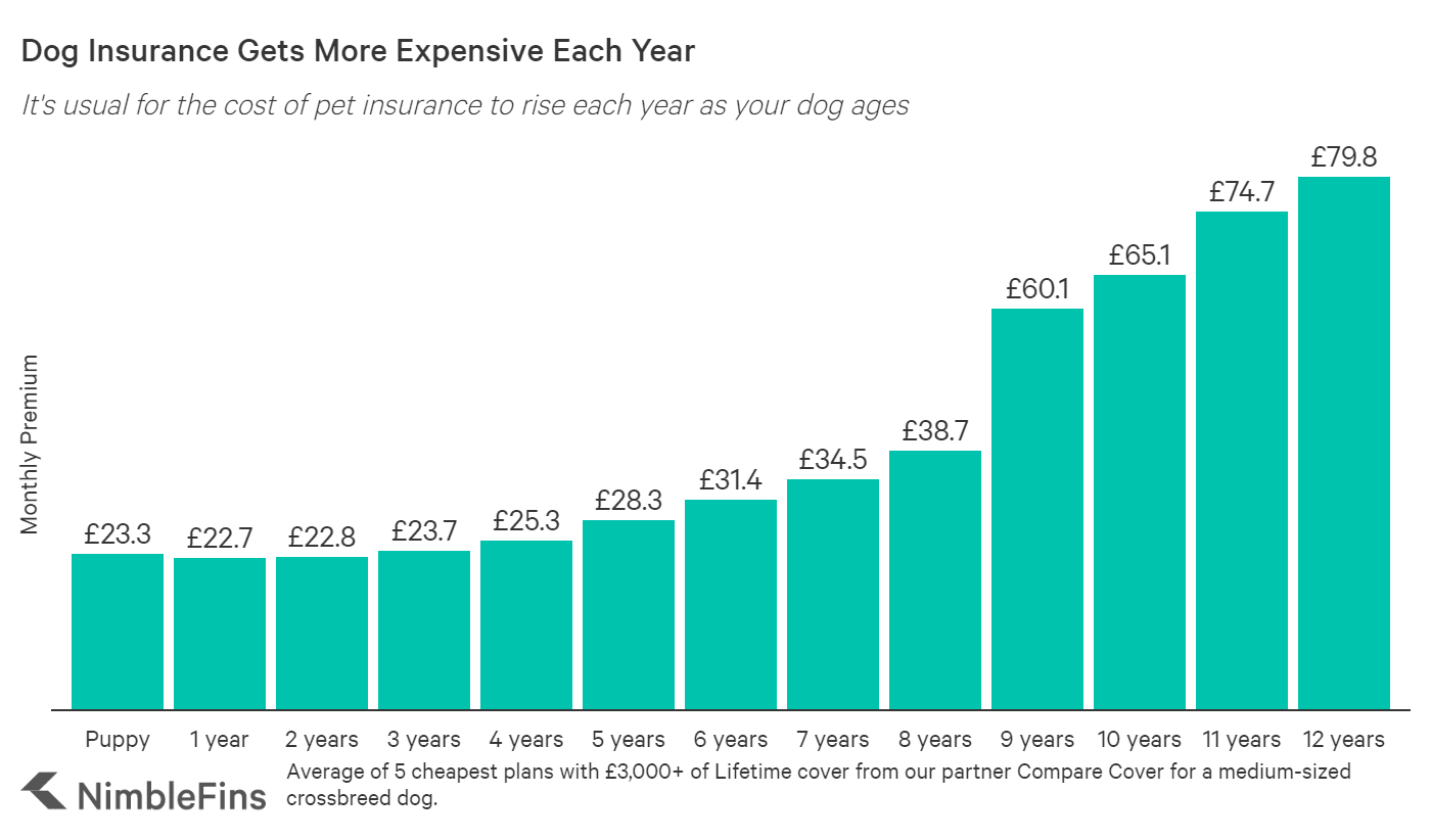 Average Cost of Dog Insurance 2022 | NimbleFins