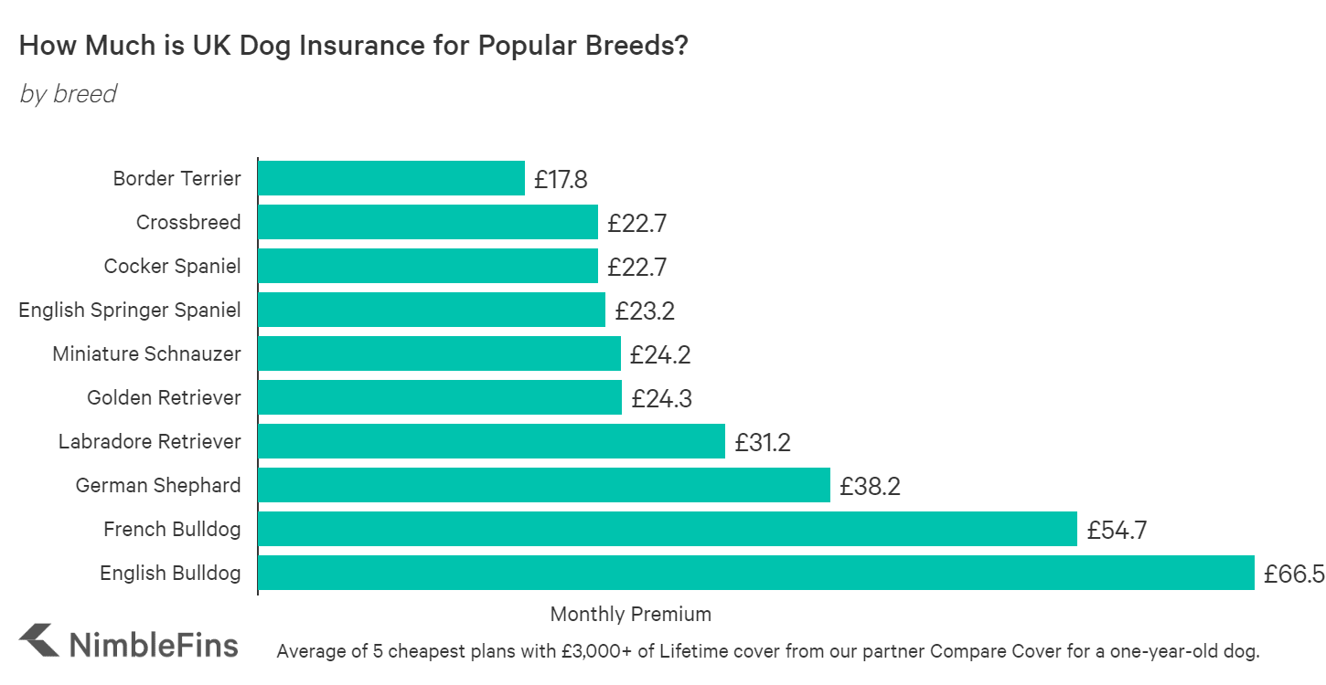 Average Cost of Pet Insurance UK 2020 | NimbleFins