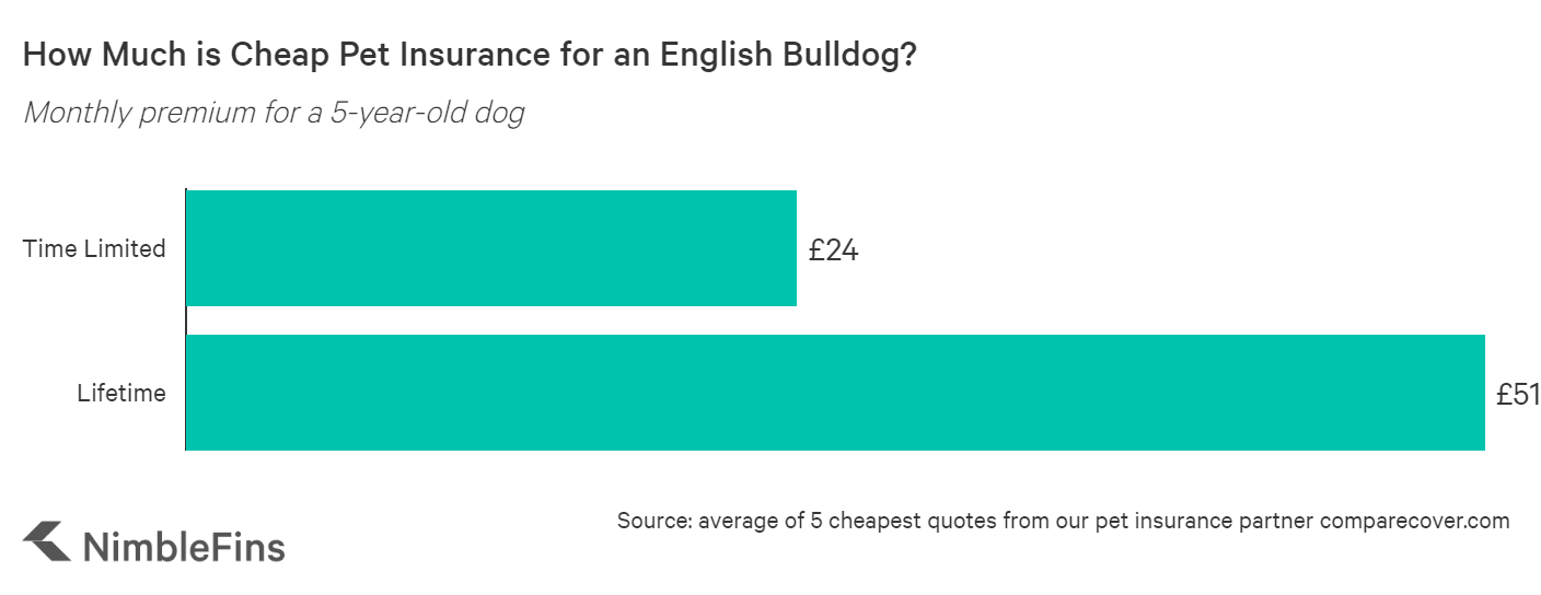 Average Cost of Bulldog Insurance 2020 | NimbleFins