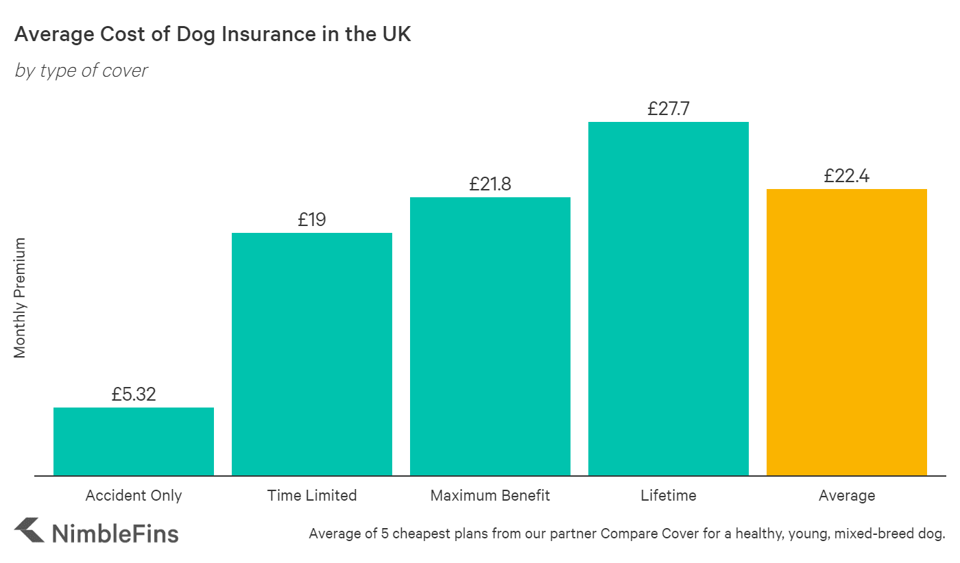 Average Cost of Dog Insurance 2022 | NimbleFins