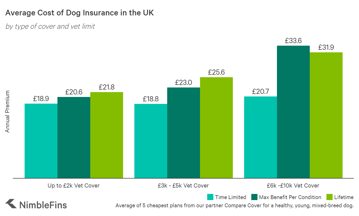 pet-insurance-average-cost-anna-blog