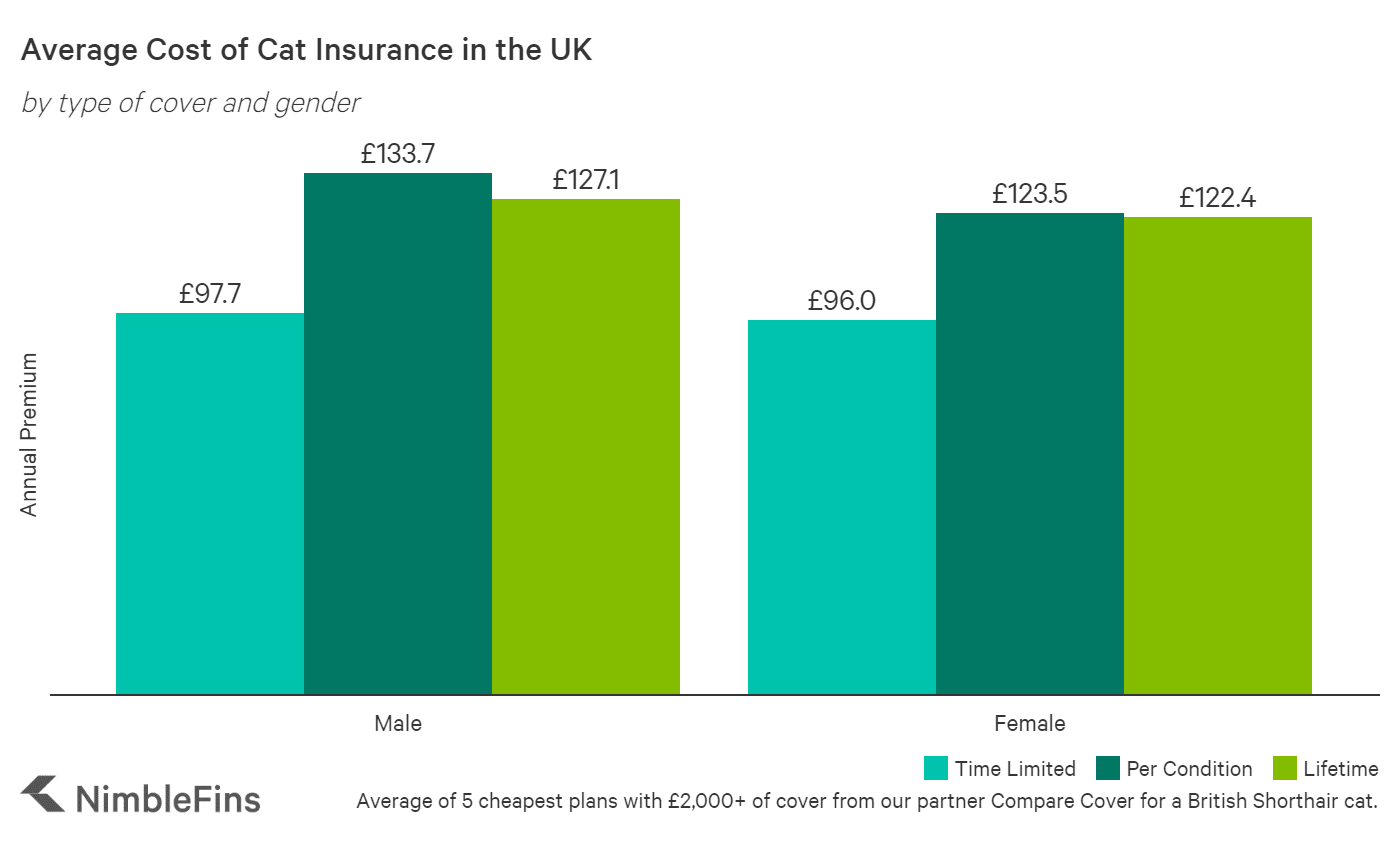 Average Cost of Cat Insurance 2022 | NimbleFins