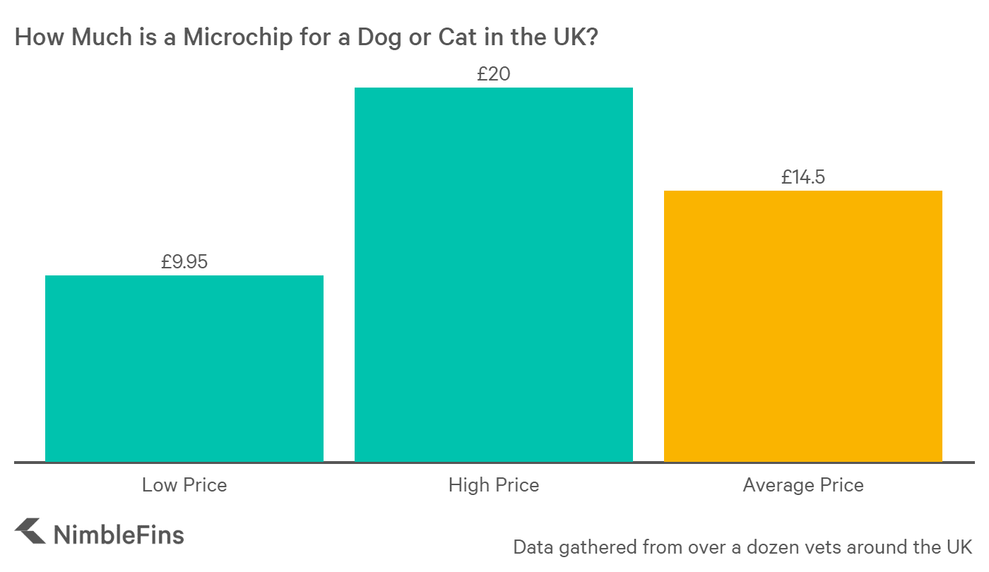 Cost of microchipping your dog sale