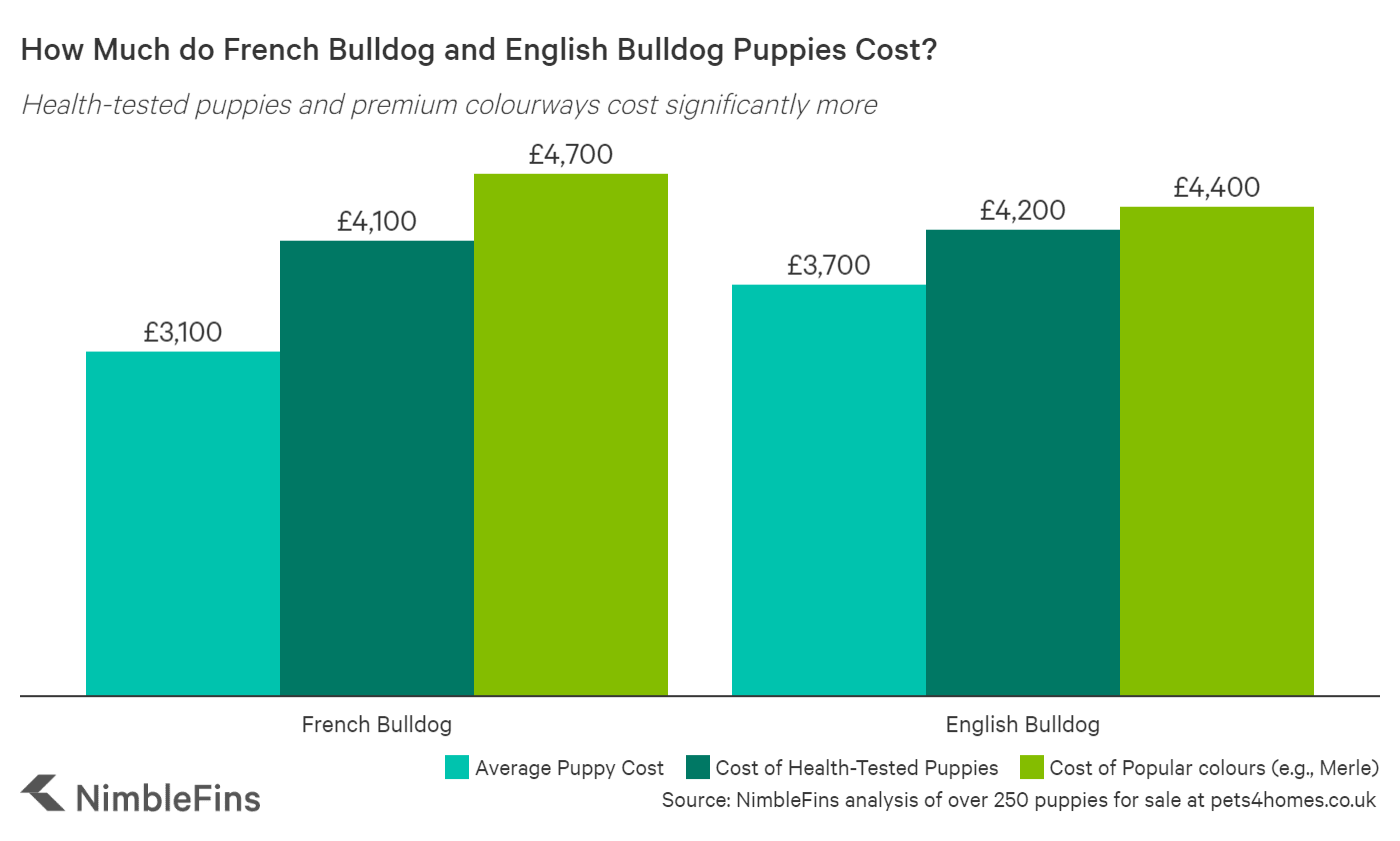 Average Cost To Buy French And English Bulldog Puppies Nimblefins