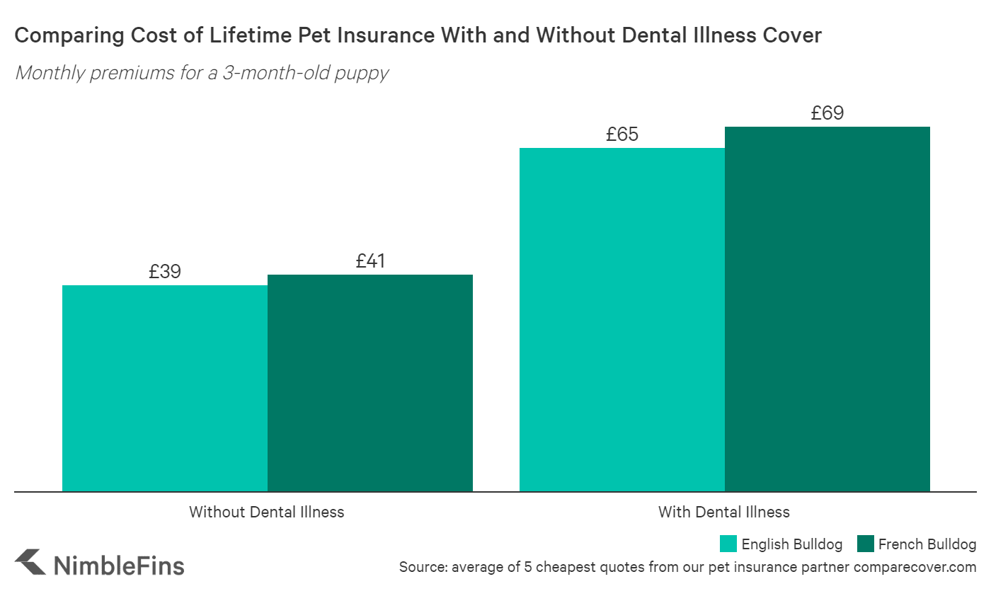 Average Cost of Bulldog Insurance 2019 | NimbleFins