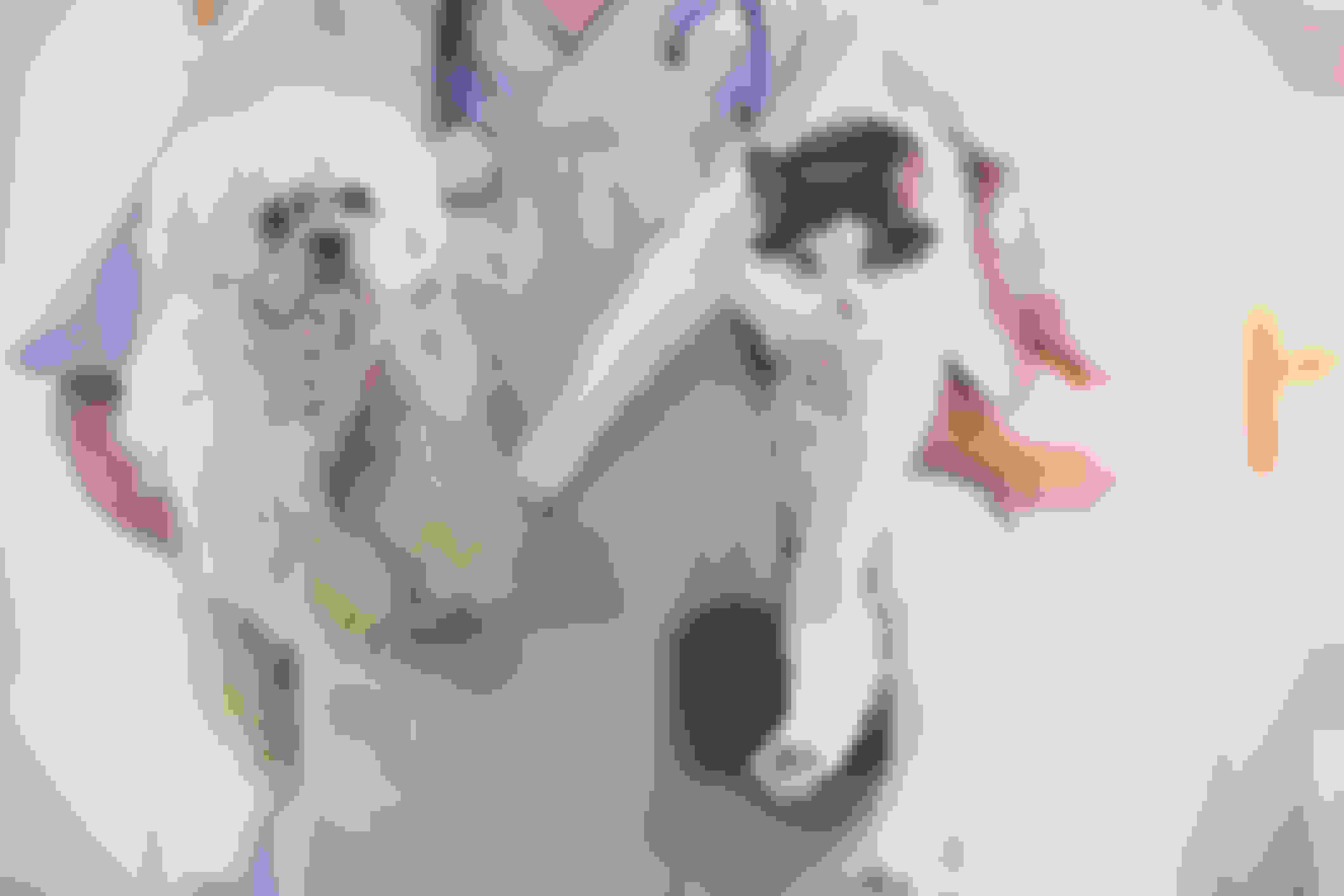 What Does Pet Insurance Cover in the UK? NimbleFins