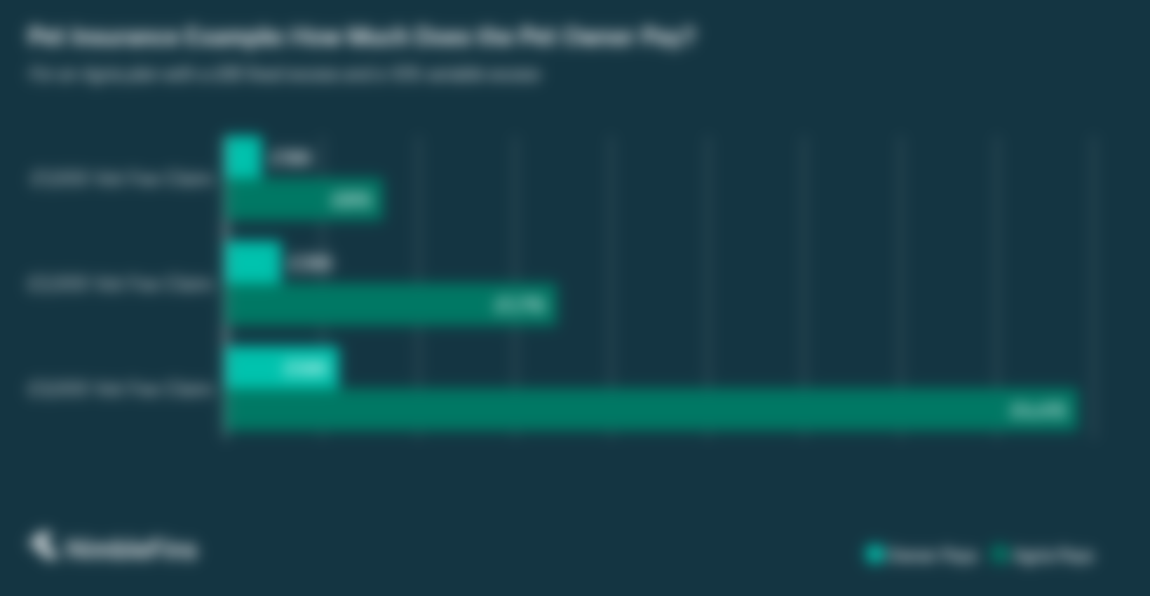 chart showing how much Agria would pay, and how much the pet owner would pay towards a valid vet claim