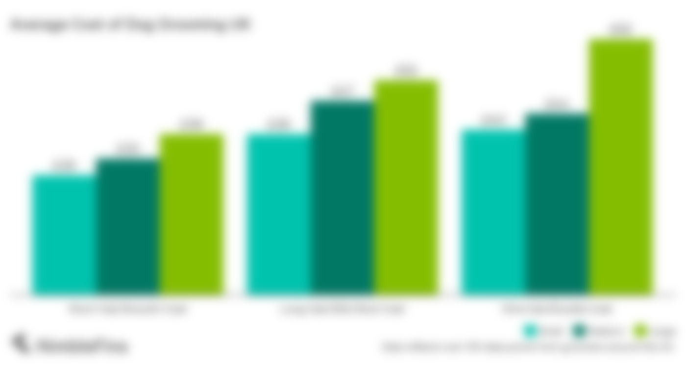 Average Cost of Dog Grooming in the UK 2023 NimbleFins