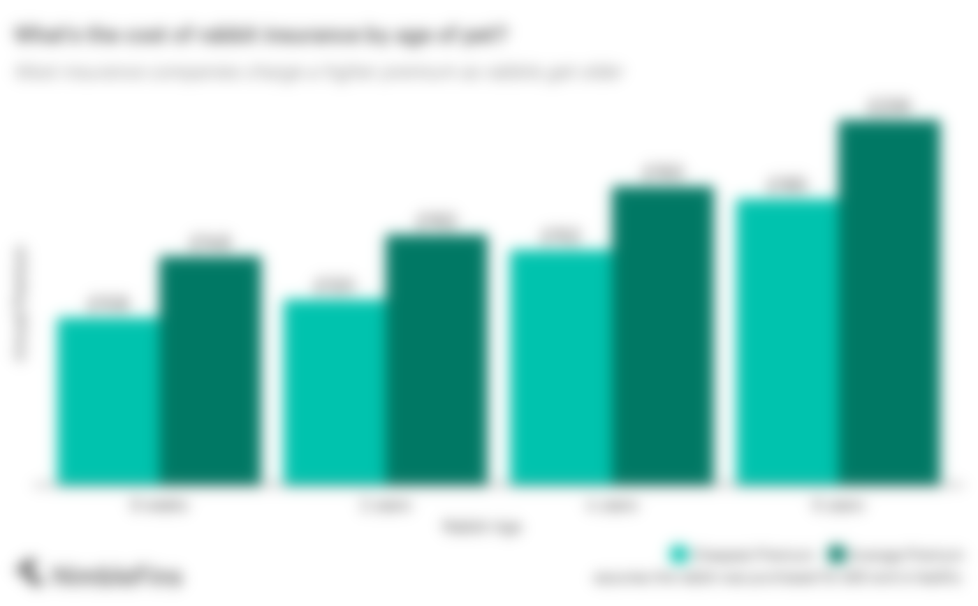 Rabbit insurance cost in UK for 2024 do you need pet cover for a