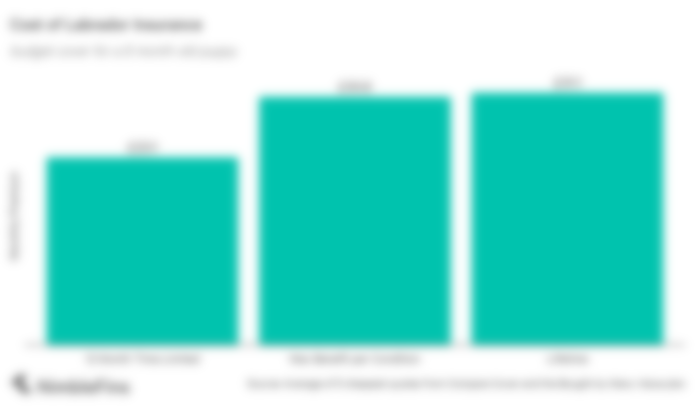 How Much is Pet Insurance for a Labrador Retriever? NimbleFins