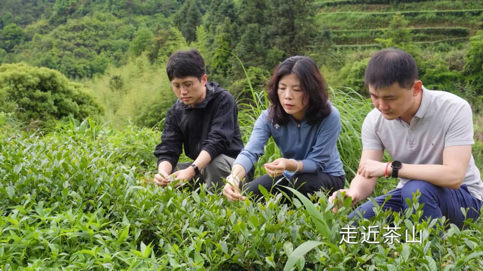 Givaudan Tea Trek