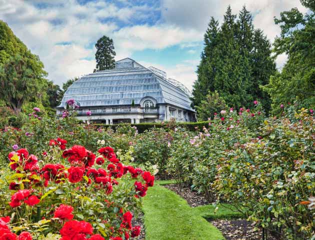 Christchurch Botanic Gardens
