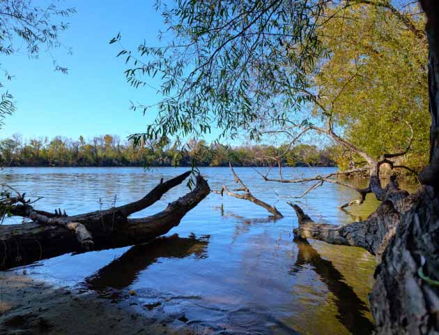 Great Shiplock Park
