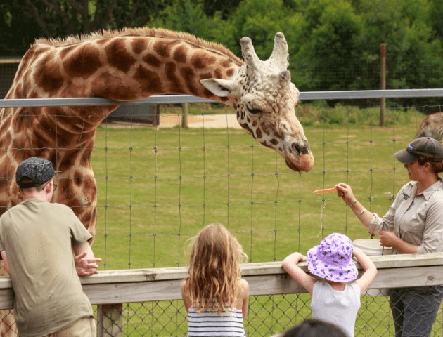 The Hamilton Zoo