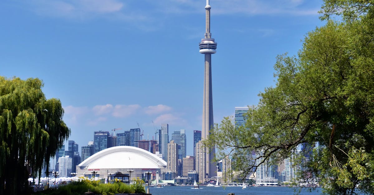 Video production in Toronto: video creation for brands expanding into North America