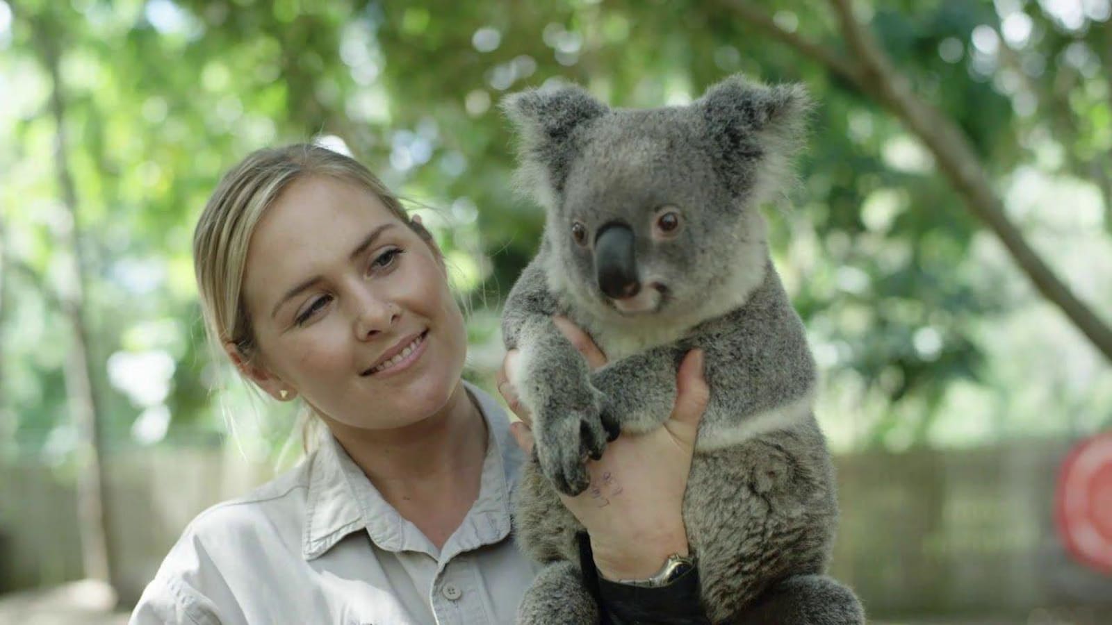 Discover your Gold Coast