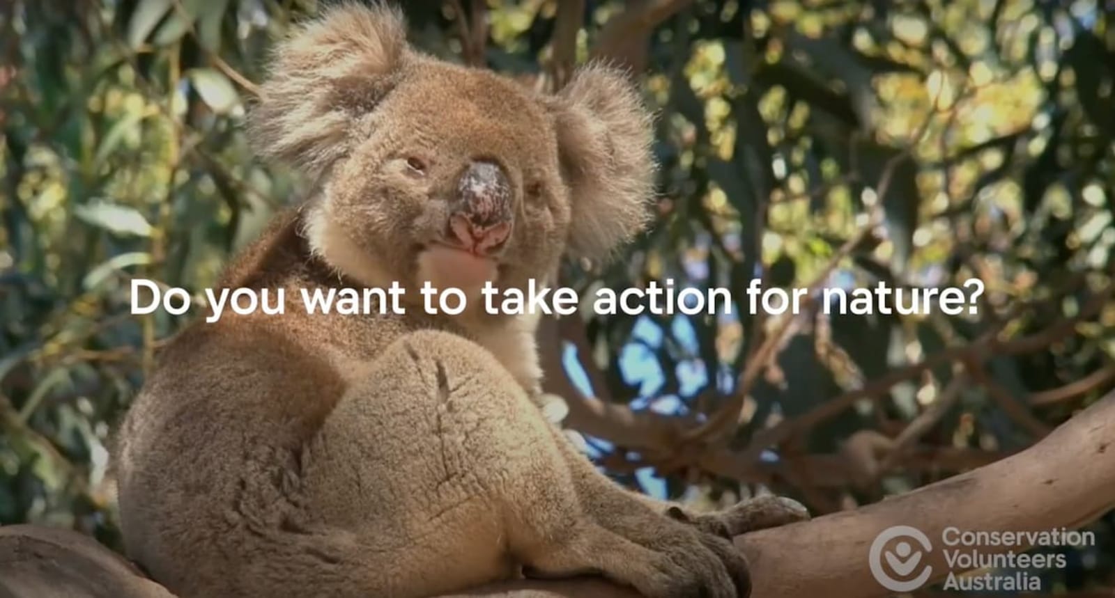 Conservation Volunteers Australia