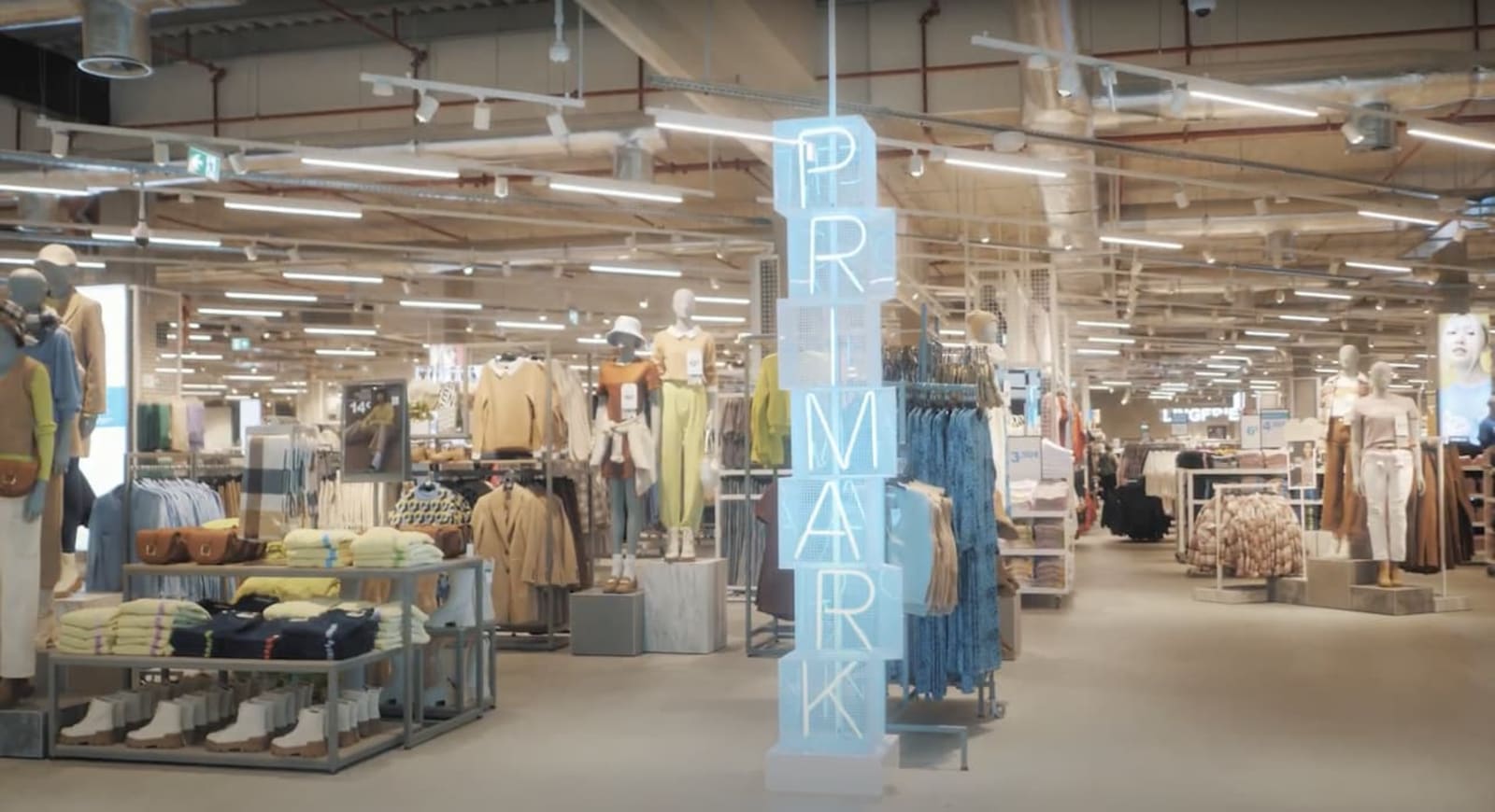 Store Safari - San Sebastian