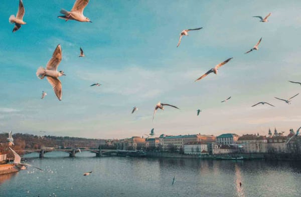 Video production in Prague