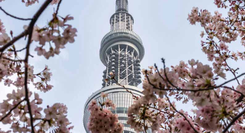 Tokyo Skytree