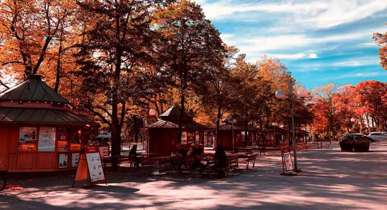 Skansen