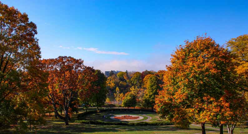 High Park