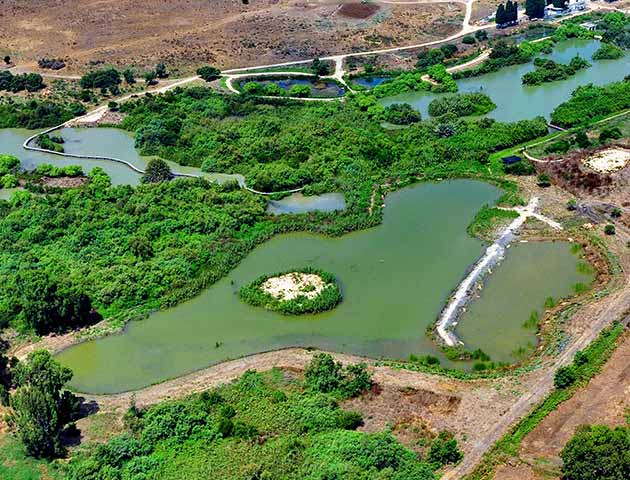 Tel Afek National Park