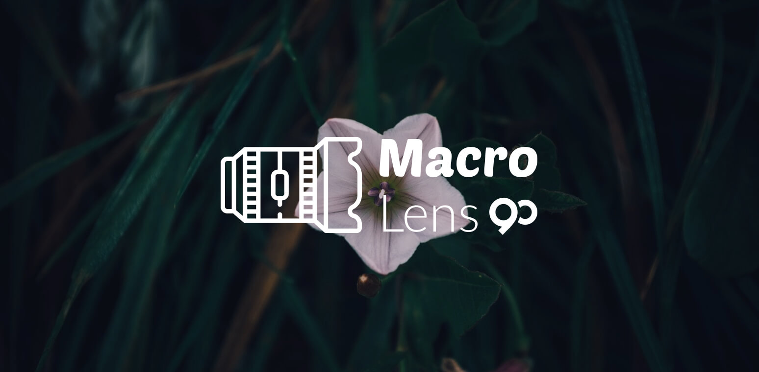 Makro Lens Nedir?