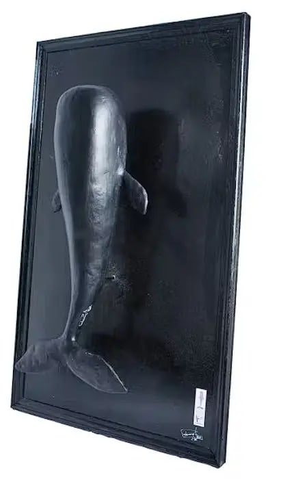 Cachalot IV - Keep going forward