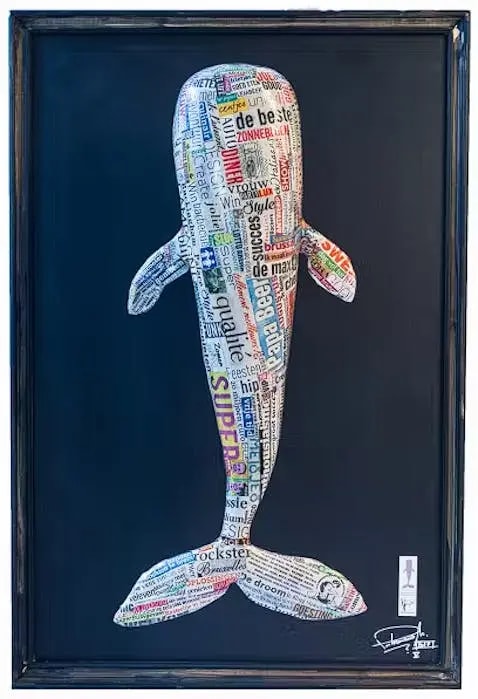 Cachalot V - Positive News